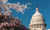 The Proposed "One, Big, Beautiful Bill" Act: Expanded 529 Plans and Extended ABLE Accounts